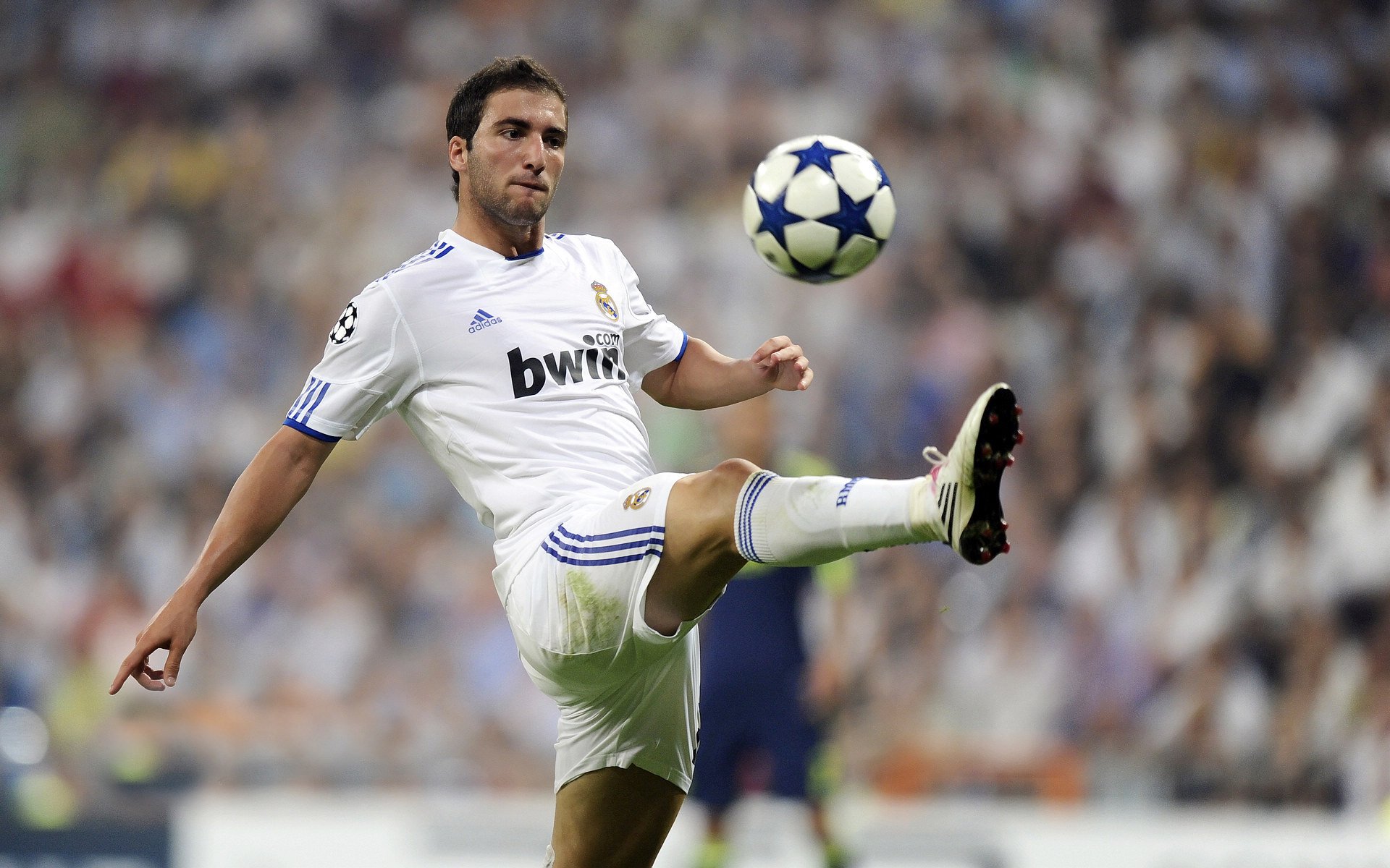 AYX体育官网-“费尔南多·比亚尔巴在阿根廷美洲狮队中的决定性角色”